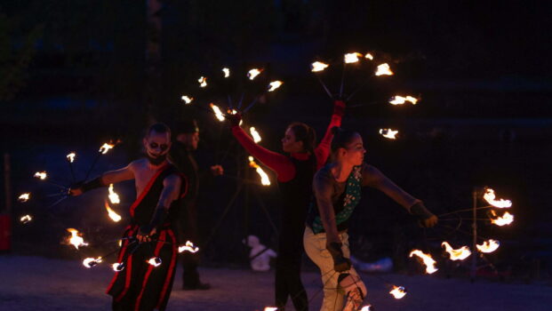 Flamman tulishow