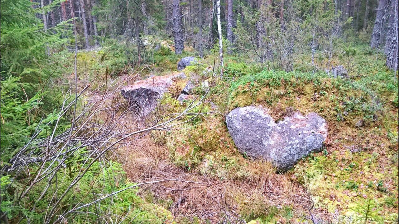 Luonto peilinä omaan elämään
