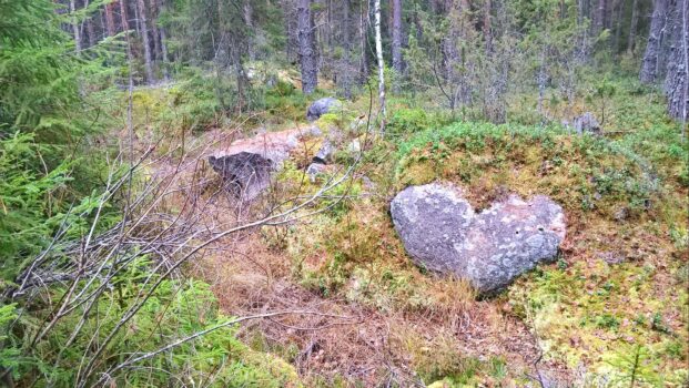 Luonto peilinä omaan elämään